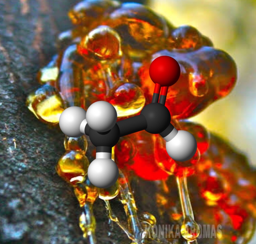 balsamic.science