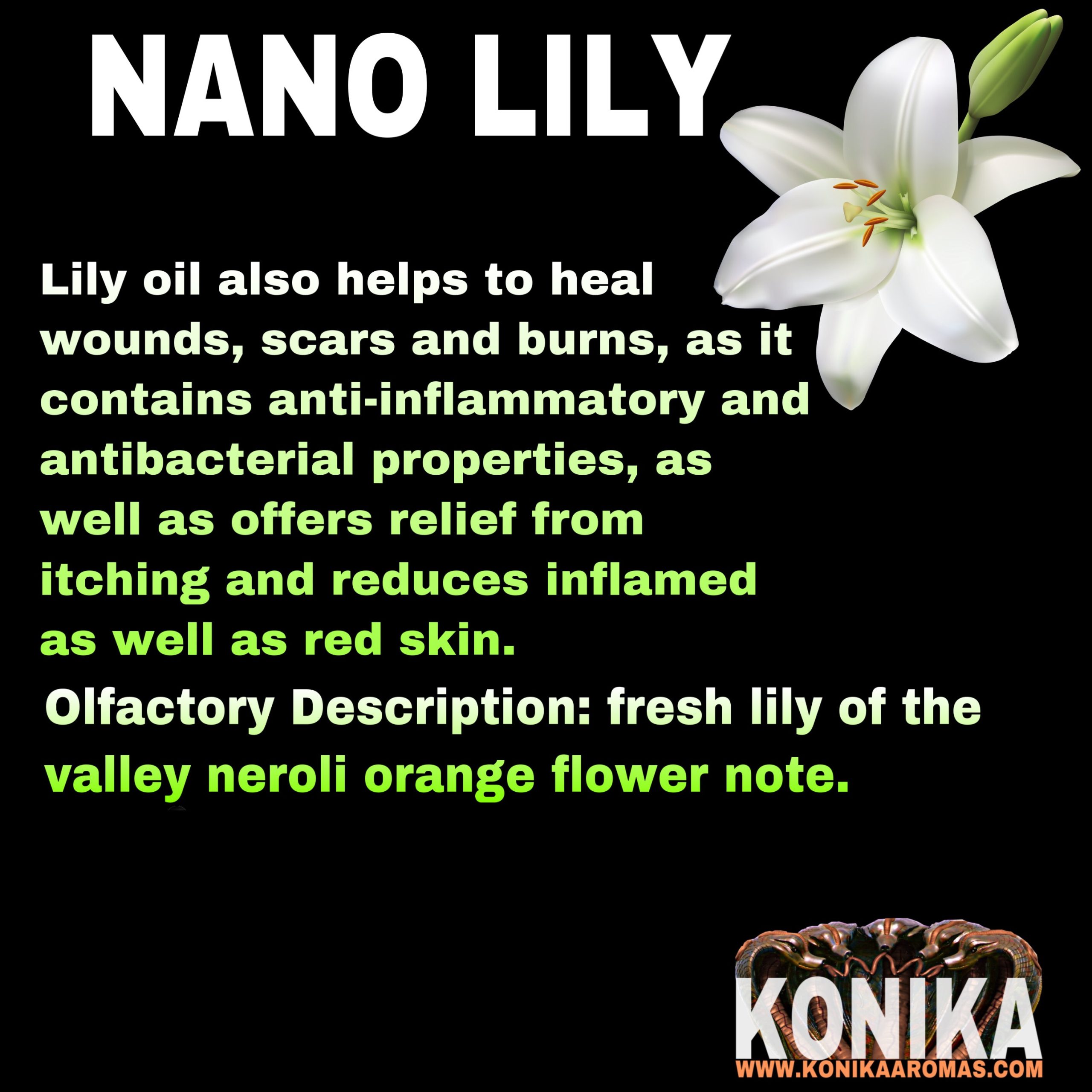 Nano Lemon